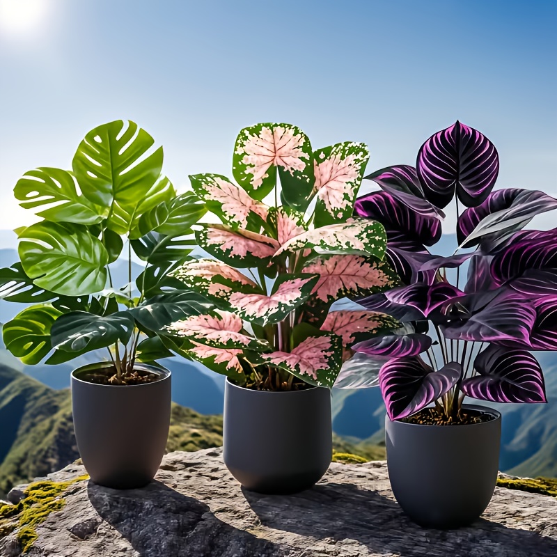 Fiddle Leaf Fig - مجموعة من 3 نباتات اصطناعية متنوعة،