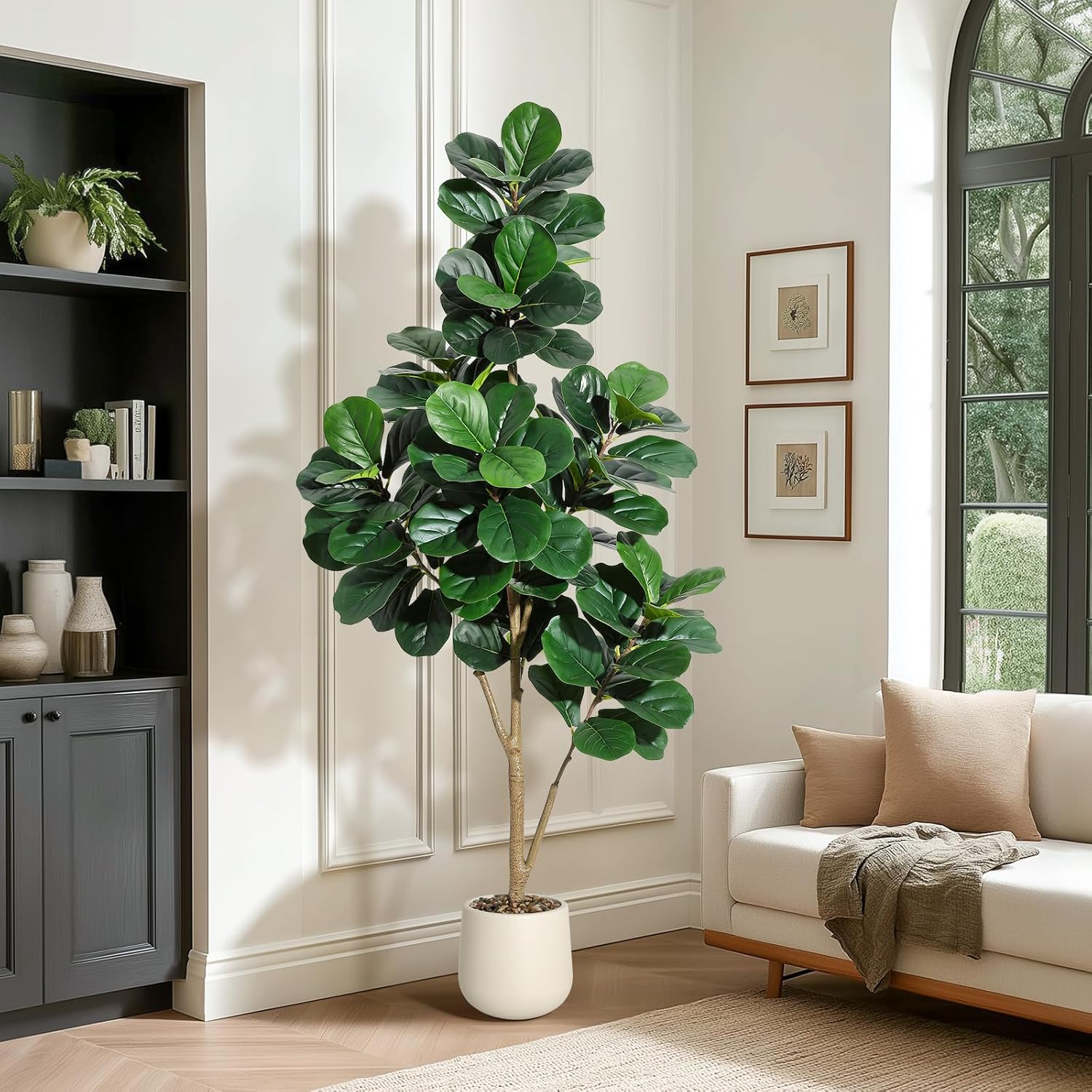 4-7 أقدام كمان ورقة شجرة التين - مراجعة Fiddle Leaf Fig وسعره
