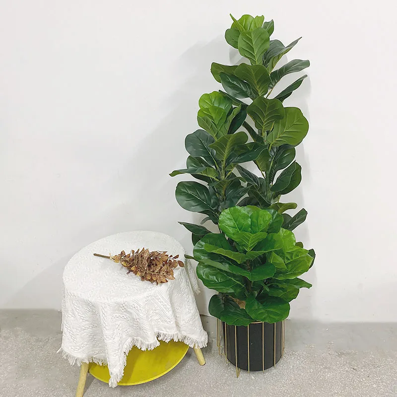 نبات فيكس ليراتا صناعي كبير ال - مراجعة Fiddle Leaf Fig وسعره