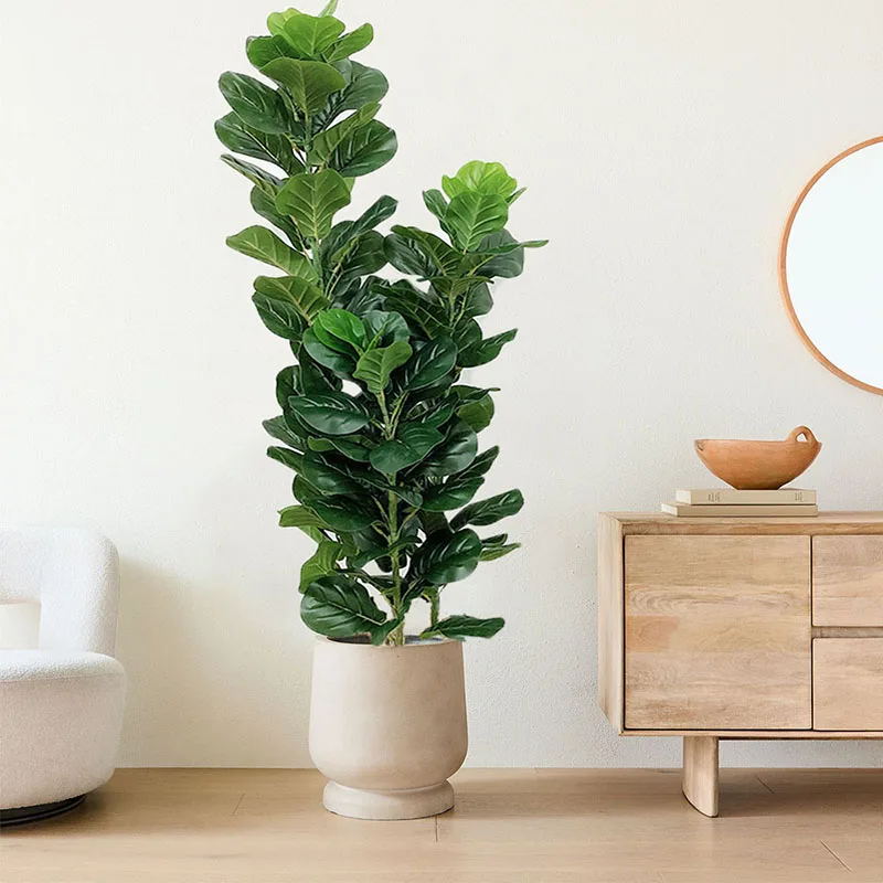 نبات فيكس ليراتا صناعي كبير ال - مراجعة Fiddle Leaf Fig وسعره