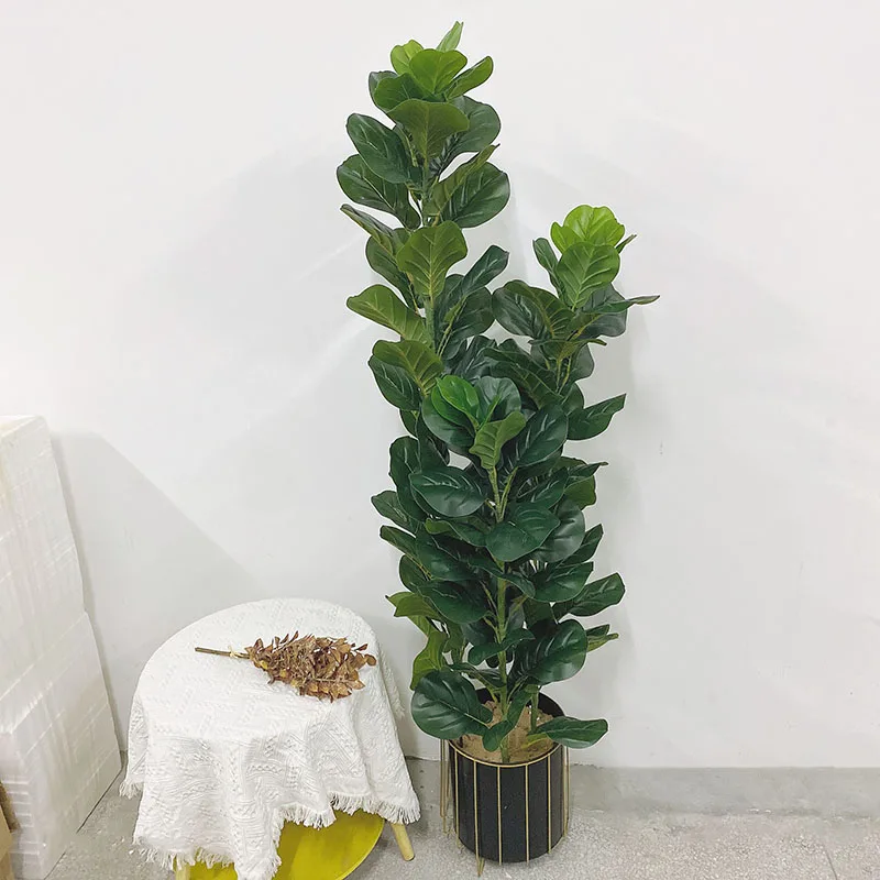 نبات فيكس ليراتا صناعي كبير ال - مراجعة Fiddle Leaf Fig وسعره