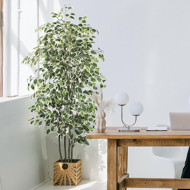 شجرة اللبخ الاصطناعية مقاس 70  - مراجعة Fiddle Leaf Fig وسعره