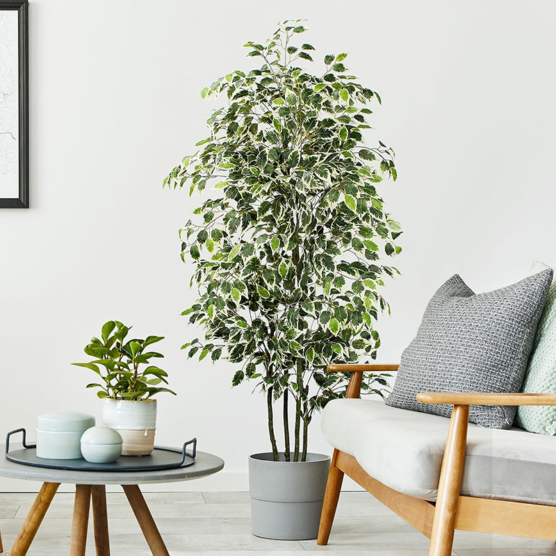 شجرة اللبخ الاصطناعية مقاس 70  - مراجعة Fiddle Leaf Fig وسعره