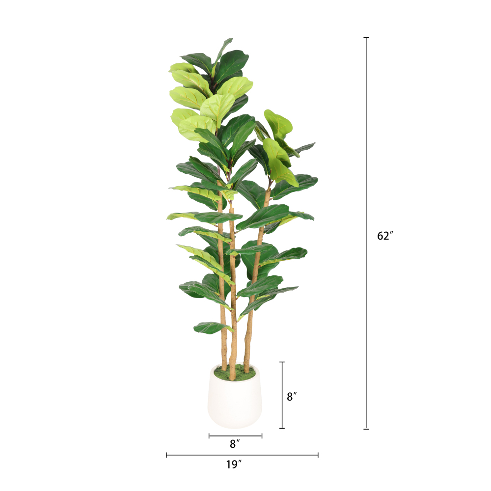 شجرة التين الاصطناعية بارتفاع  - مراجعة Fiddle Leaf Fig وسعره