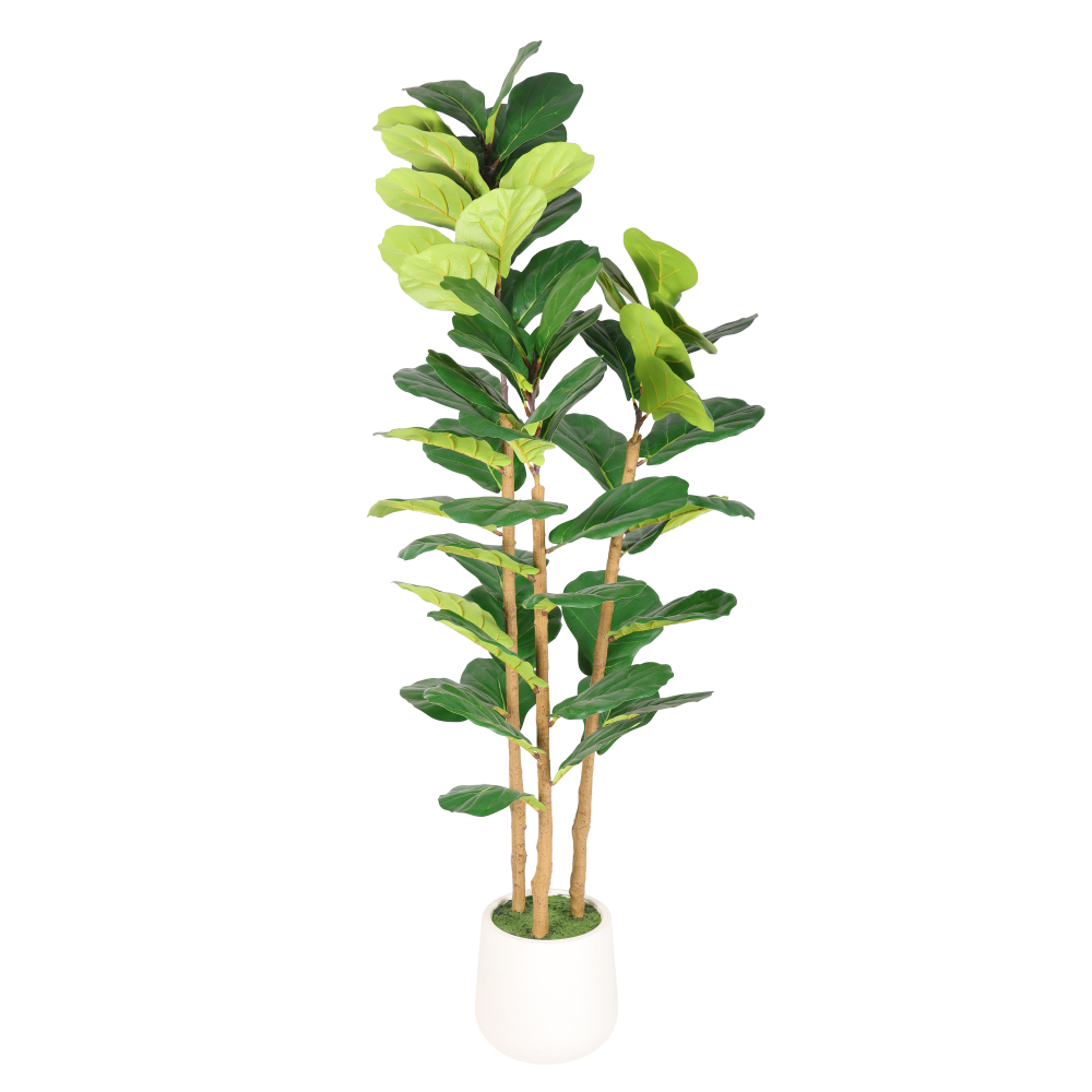شجرة التين الاصطناعية بارتفاع  - مراجعة Fiddle Leaf Fig وسعره